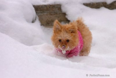 Feb22_08_082.jpg