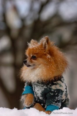 Feb22_08_084.JPG
