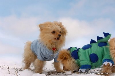 Mar2_08_255.JPG