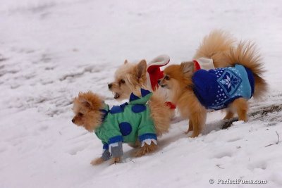 Mar2_08_260.jpg