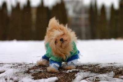 Mar2_08_271.jpg