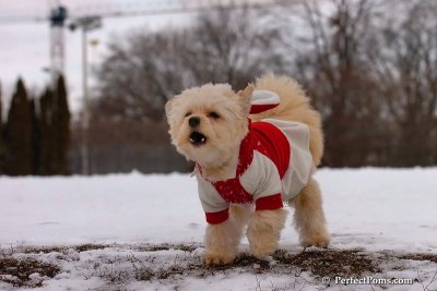 Mar2_08_280.jpg