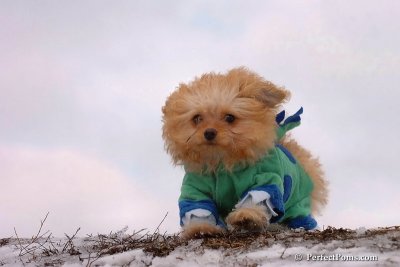 Mar2_08_293.jpg