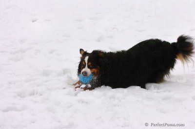Mar2_08_376.JPG