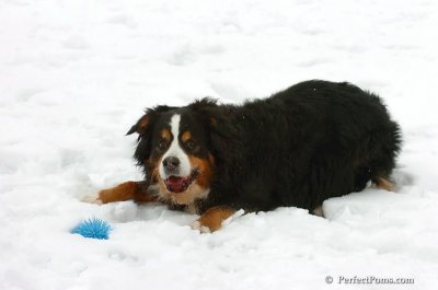 Mar2_08_377.JPG