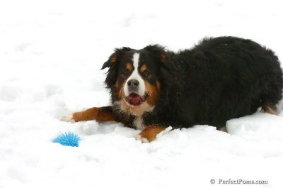 Mar2_08_378.JPG
