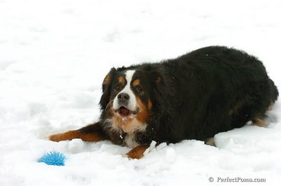 Mar2_08_380.JPG