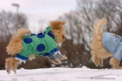 Mar2_08_223.JPG