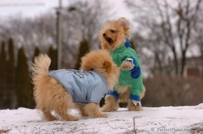 Mar2_08_231.JPG
