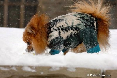 Mar8_08_777.jpg