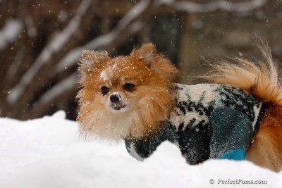 Mar8_08_780.jpg
