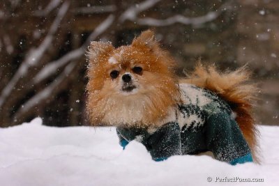 Mar8_08_788.jpg