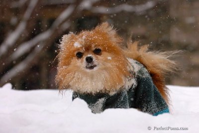Mar8_08_791.jpg