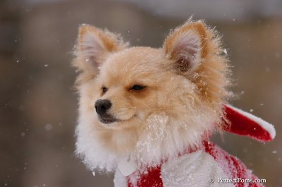 Mar8_08_807.JPG