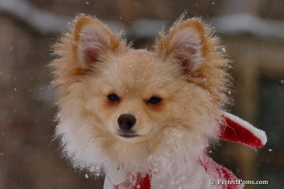 Mar8_08_826.jpg