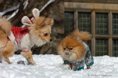 Mar9_08_436.jpg