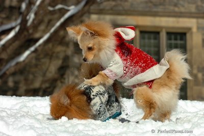 Mar9_08_445.jpg