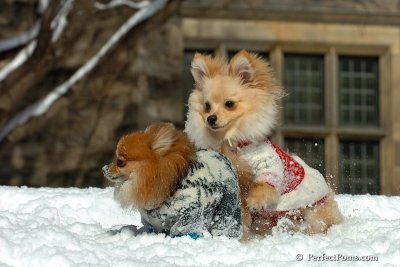 Mar9_08_448.jpg