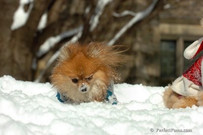 Mar9_08_469.jpg
