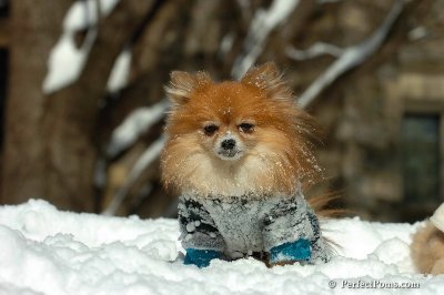 Mar9_08_471.jpg