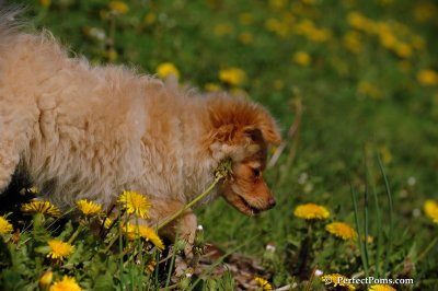 May13_08_368.JPG