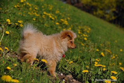 May13_08_370.JPG
