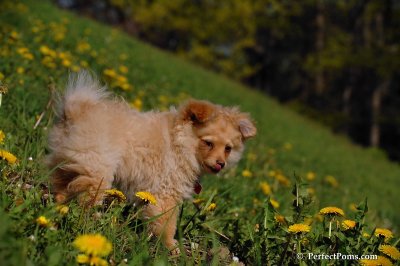 May13_08_372.JPG