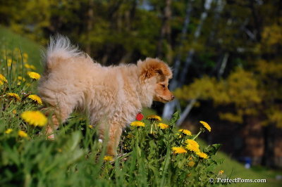 May13_08_375.JPG