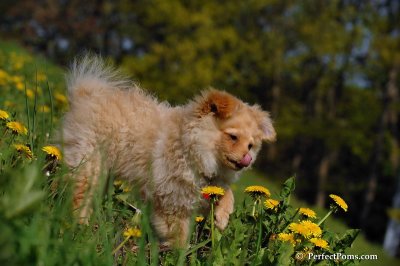 May13_08_379.JPG
