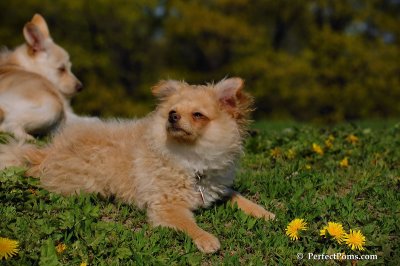 May13_08_343.JPG