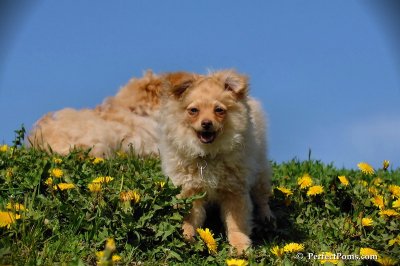 May13_08_232.JPG