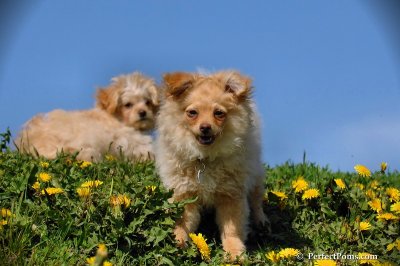 May13_08_233.JPG