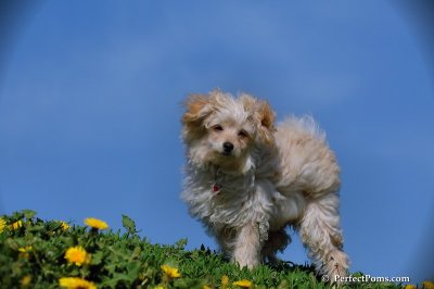 May13_08_242.JPG