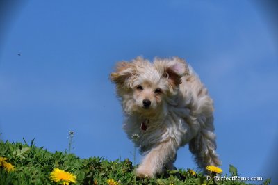 May13_08_244.JPG