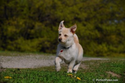 May13_08_046.JPG