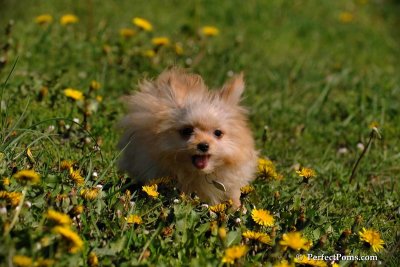 May13_08_059.JPG