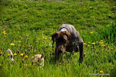 May15_08_501.jpg