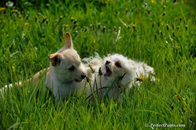 May15_08_505.jpg