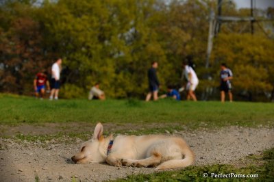 May15_08_576.JPG