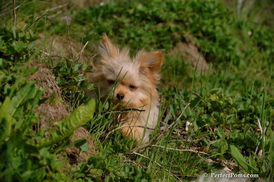 May15_08_299.JPG