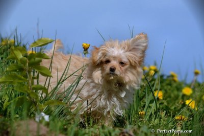 May15_08_302.JPG