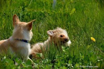 May15_08_322.jpg