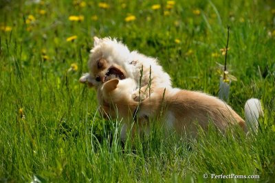 May15_08_324.jpg