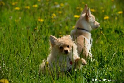 May15_08_325.jpg