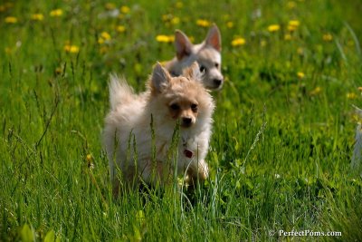 May15_08_326.jpg