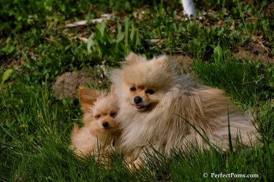 May15_08_332.JPG