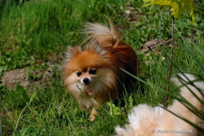 May15_08_334.JPG