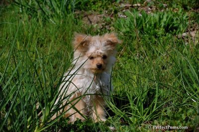 May15_08_335.JPG