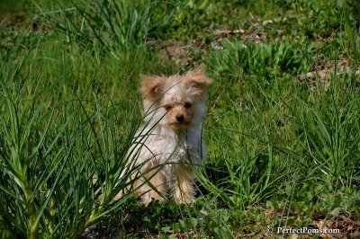 May15_08_336.JPG