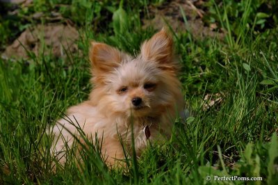 May15_08_338.JPG